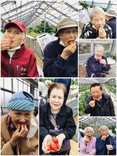 🍓いちご狩り(第二ケアハウス南紀）🍓